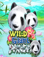 สูตรเด็ดเกม แมว เล่น เพื่อชนะได้เงินง่ายๆ