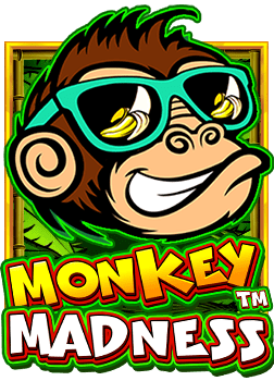 สล็อต xo 24เว็บ บอล บา คา ร่า ทดลองเล่นง่ายที่นี่